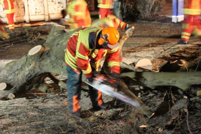 2016 02 15 baumfaellen 4